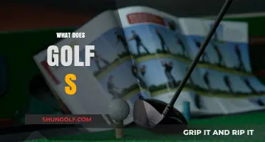 Understanding Golf's Unique Terminology: A Beginner's Guide to Golf's Slang