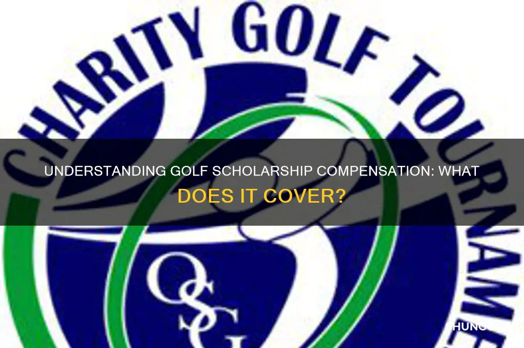 what does golf scholarship pay