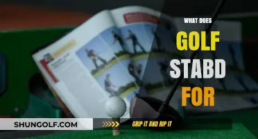 Unveiling the Meaning: What Does GOLF Really Stand For?