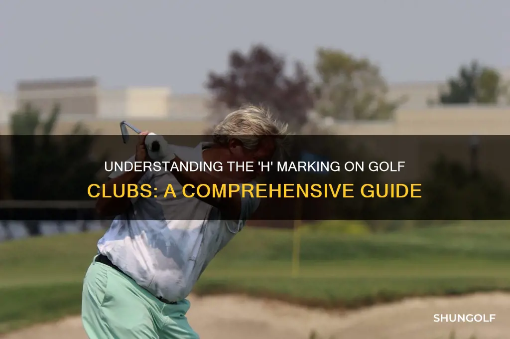 what does h mean on a golf club