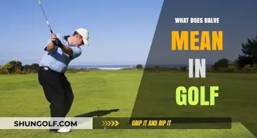 Decoding the Golf Term 'Halve': A Beginner's Guide to Scoring