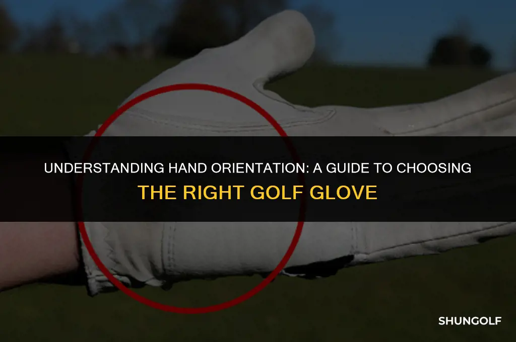 what does hand orientation mean for golf glove