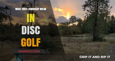 Understanding Handicap in Disc Golf: A Beginner's Guide to Fair Play