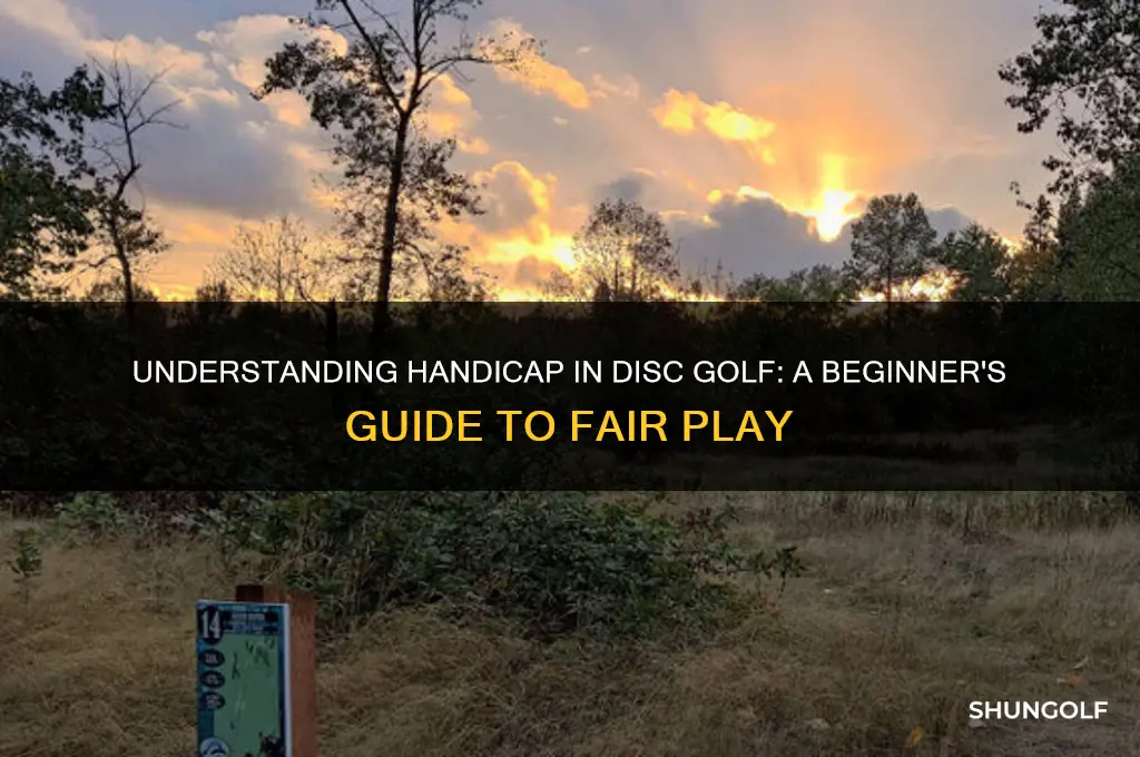 what does handicap mean in disc golf