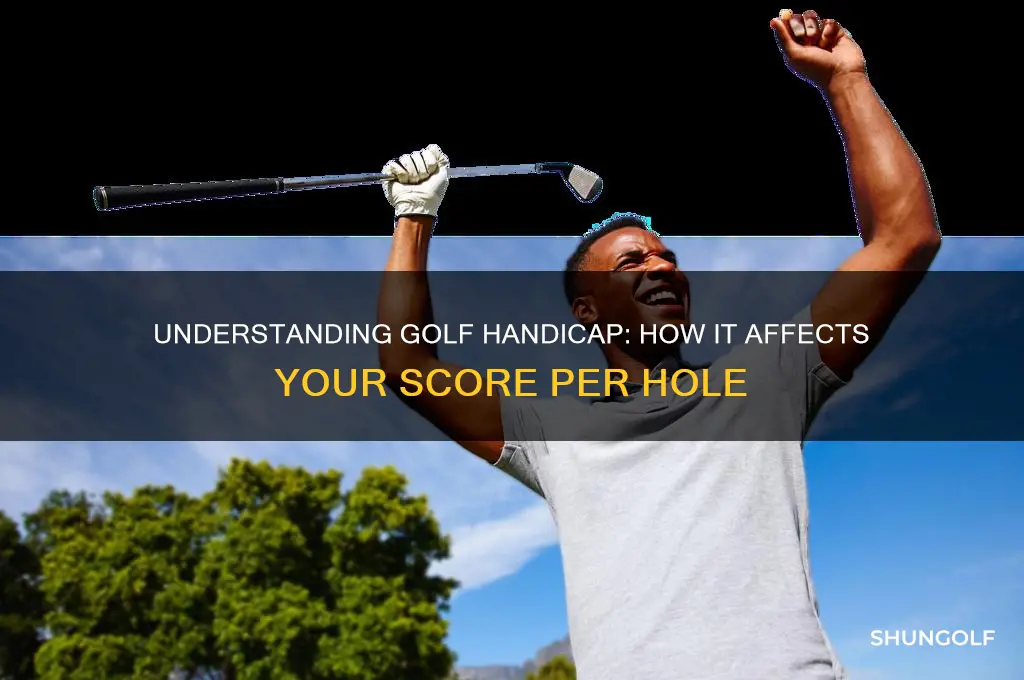 what does handicap mean in golf per hole