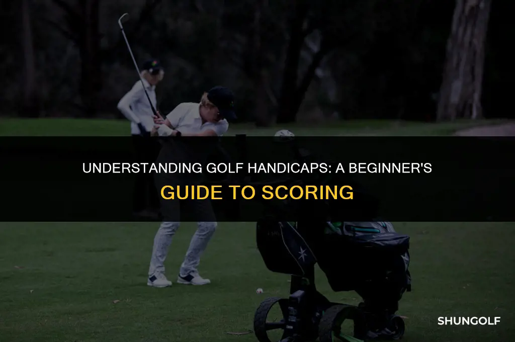 what does handicapp mean in golf