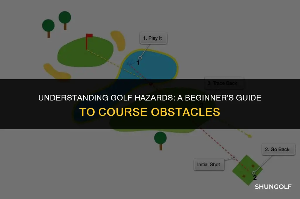what does hazard in golf mean