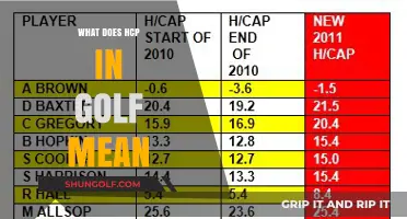 Decoding Golf Slang: What Does HCP Stand For?