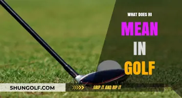 Decoding Golf Slang: What Does 'Hi' Really Mean on the Course?