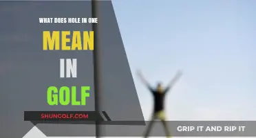 Understanding the Prestigious Hole-in-One in Golf: A Beginner's Guide