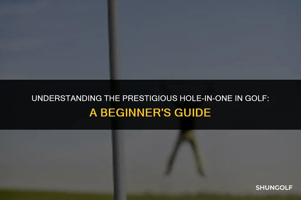 what does hole in one mean in golf