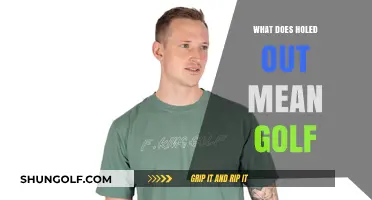 Decoding Golf Slang: What Does 'Holed Out' Really Mean?
