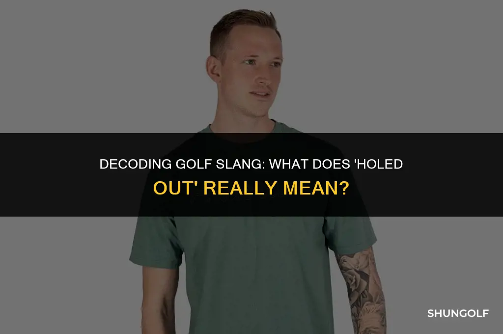 what does holed out mean golf