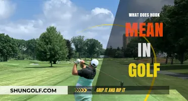 Understanding the Hook Shot in Golf: A Beginner's Guide