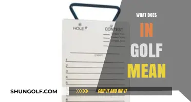 Decoding Golf Slang: What Does 'In' Really Mean on the Course?
