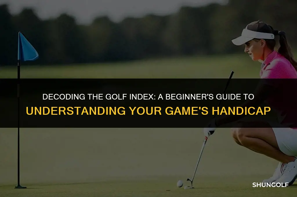 what does index in golf mean