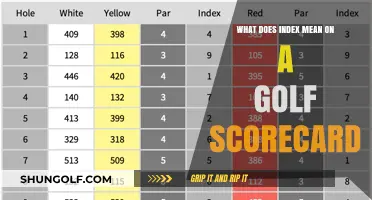 Decoding the Golf Scorecard: Understanding the Index