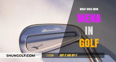Understanding Iron Clubs: Their Role and Significance in Golf