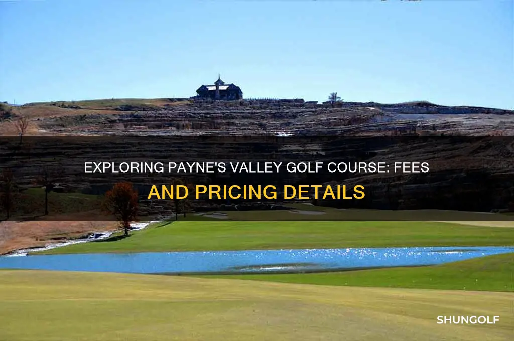 what does it cost to play payne