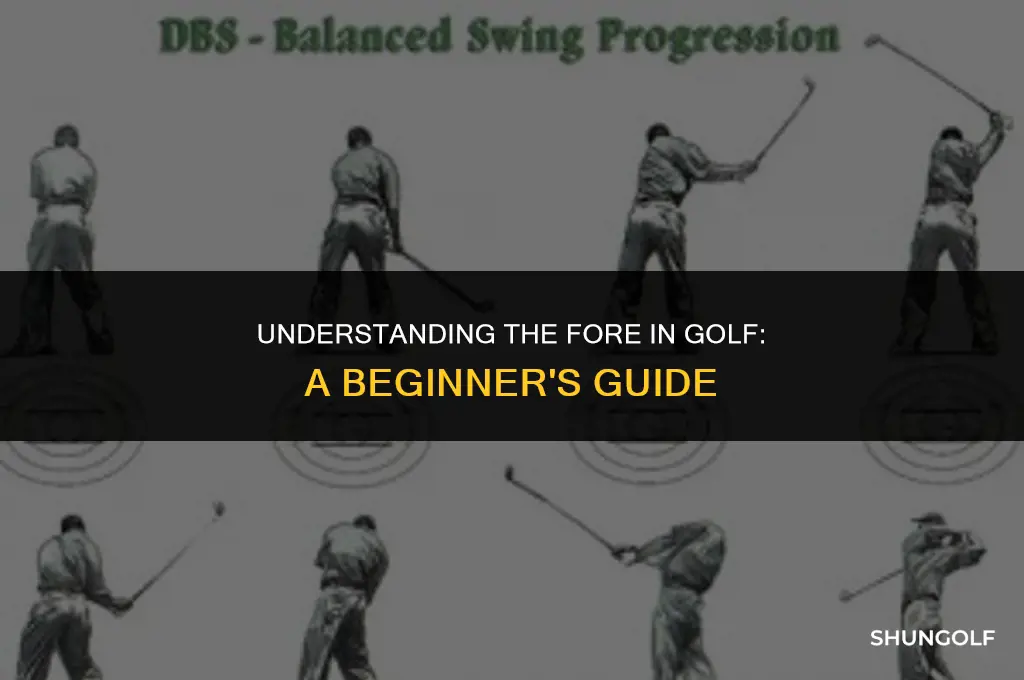 what does it mean by fore in golf