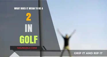 Understanding the Significance of a "2" in Golf: A Beginner's Guide