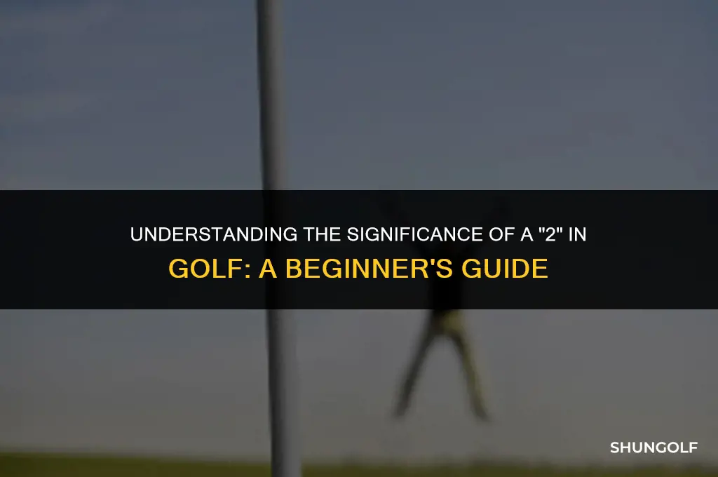 what does it mean to be a 2 in golf
