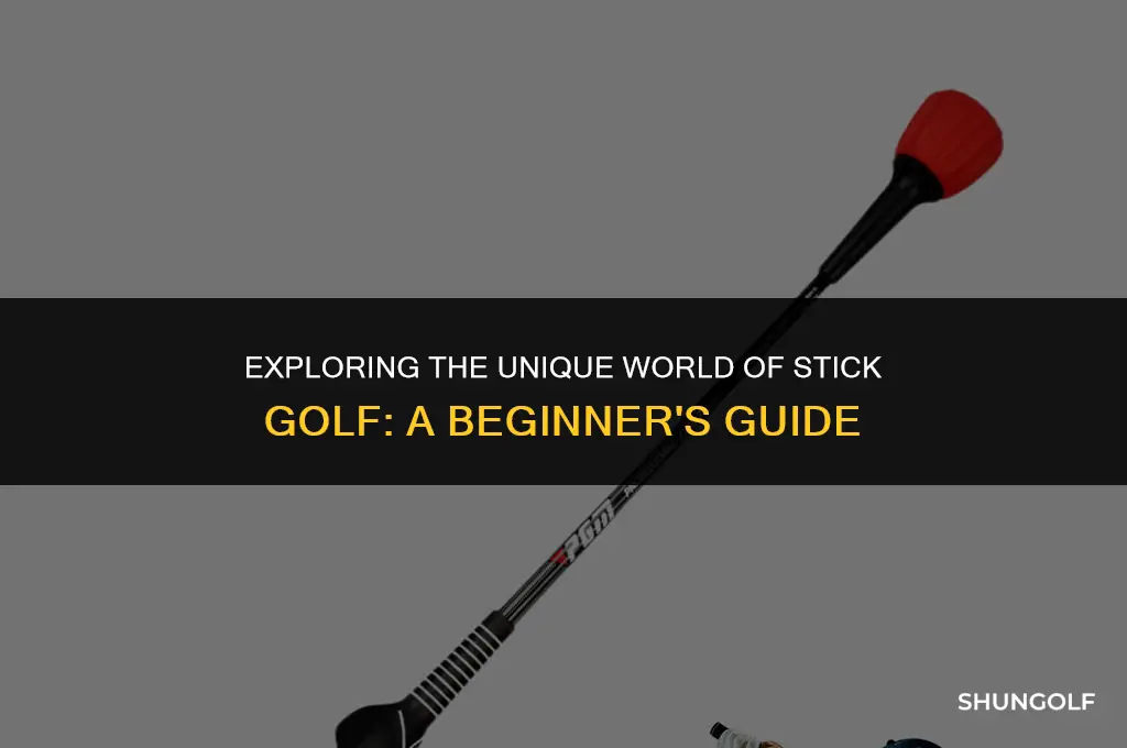 what does it mean to be a stick golfer