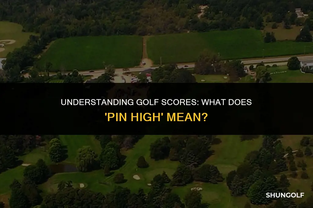 what does it mean to be pin high in golf