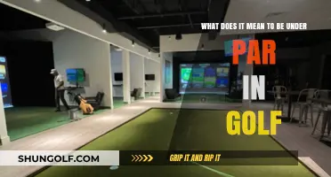 Exploring the Meaning of 'Under Par' in Golf: A Beginner's Guide