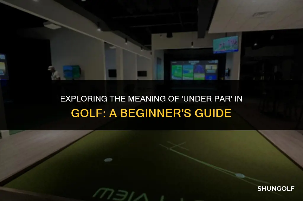 what does it mean to be under par in golf