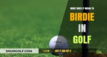 Understanding Birdies in Golf: A Beginner's Guide to Scoring Success