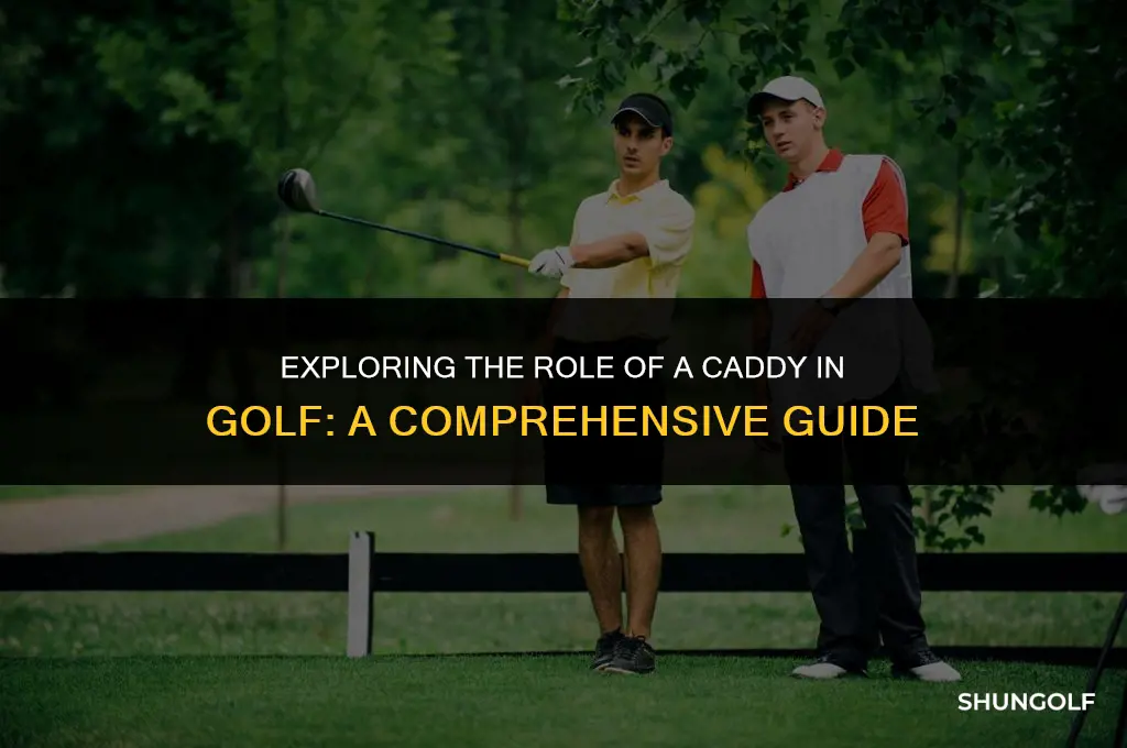 what does it mean to caddy in golf