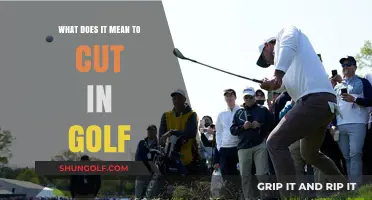 Decoding the Golf Term 'Cut': A Beginner's Guide to Understanding the Game
