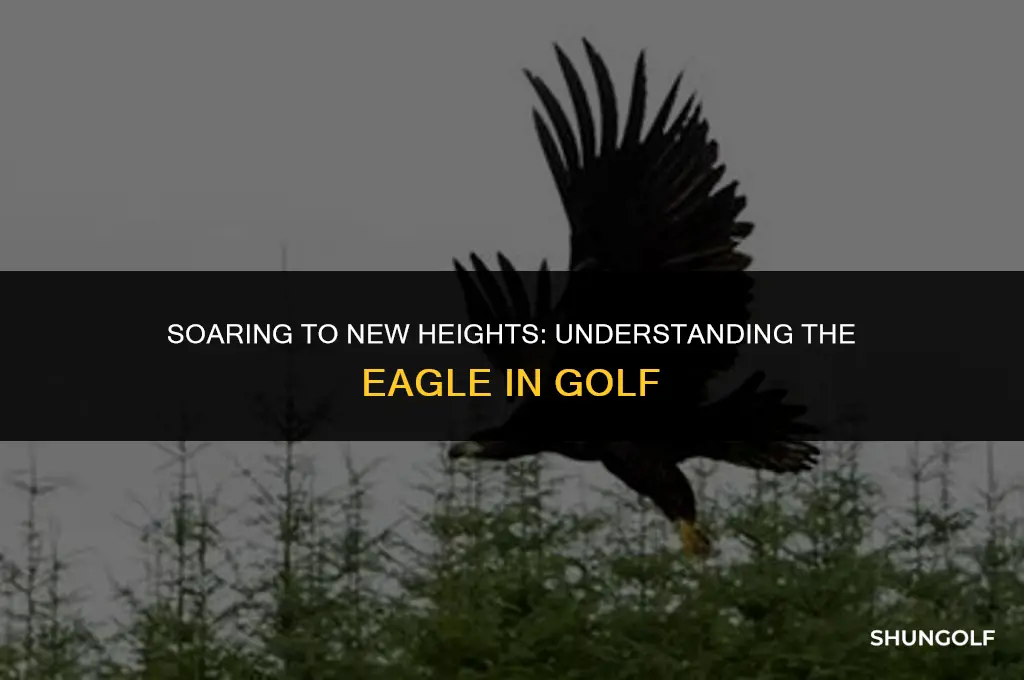 what does it mean to eagle in golf