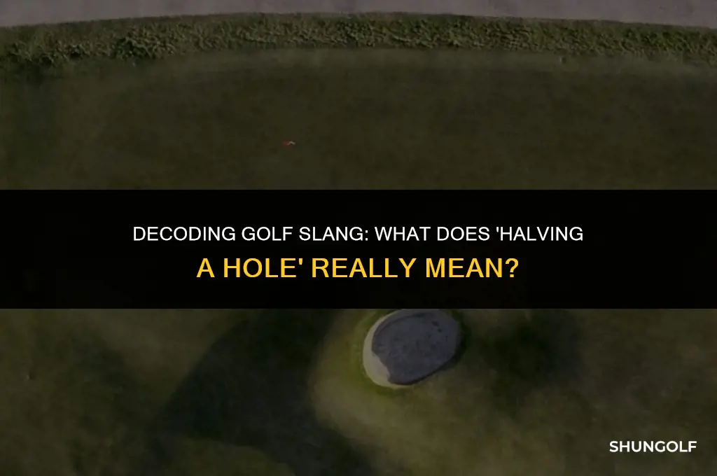 what does it mean to halve a hole in golf
