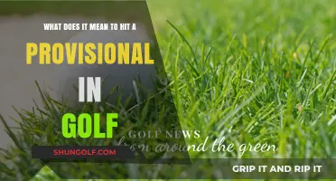 Understanding Provisional Balls in Golf: A Beginner's Guide