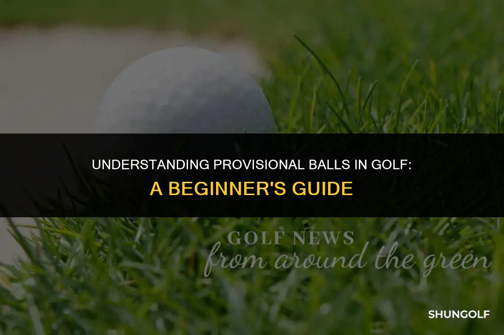 what does it mean to hit a provisional in golf