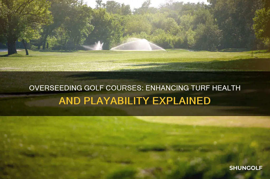 what does it mean to overseed a golf course