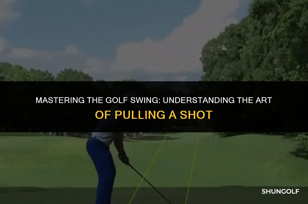 what does it mean to pull a golf shot