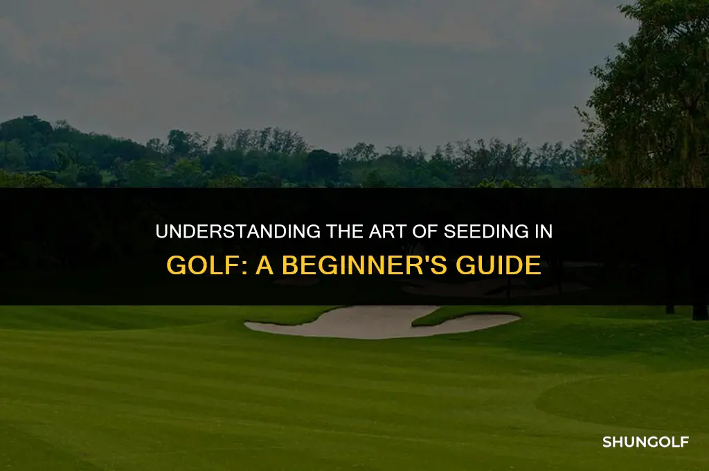 what does it mean to seed in golf
