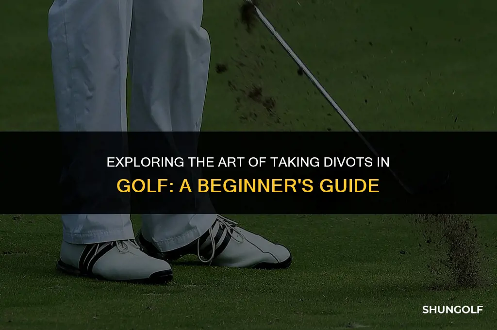 what does it mean to take divots in golf