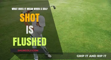 Mastering the Flush Shot: A Golfer's Guide to Precision and Power