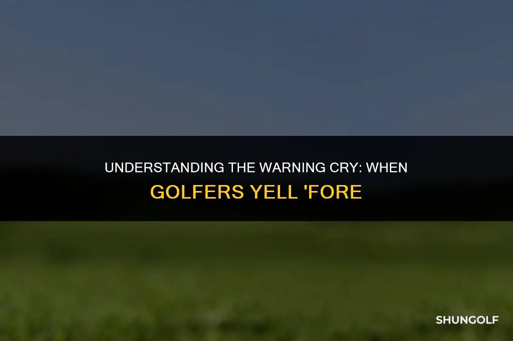 what does it mean when a golfer yells fore