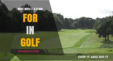 Understanding L.I.B. in Golf: Meaning, Importance, and Practical Applications