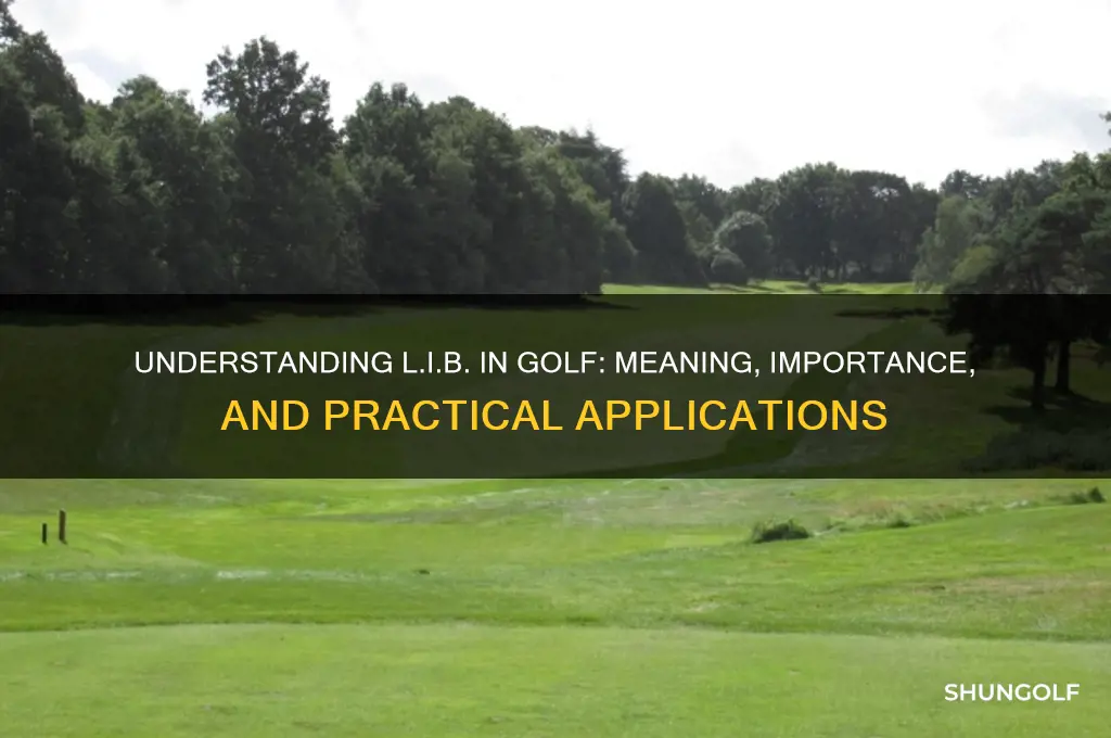 what does l i b stand for in golf