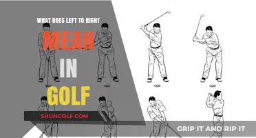 Decoding Golf's Left-to-Right Swing: A Beginner's Guide