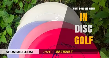 Decoding the Lie in Disc Golf: A Beginner's Guide