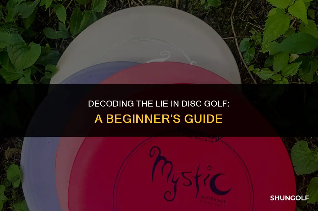 what does lie mean in disc golf