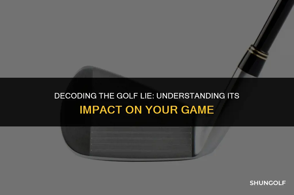 what does lie mean in golf terms