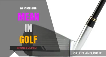 Decoding the Golf Term 'Lied': A Beginner's Guide to Understanding Scores